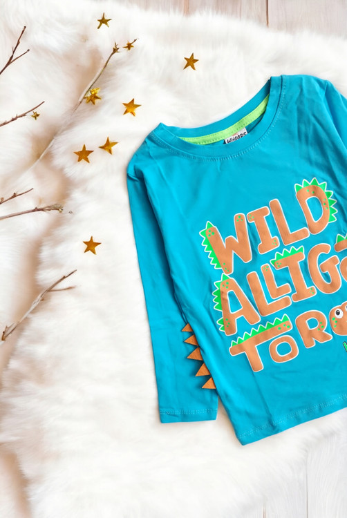 بلوز آستین بلند پسرانه آبی رنگ طرح فانتزی دایناسور شیک